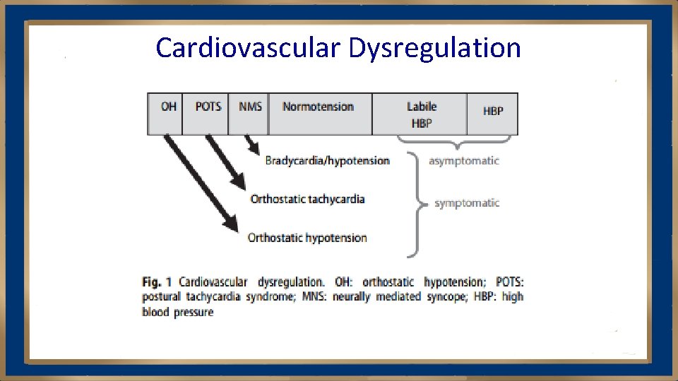 Cardiovascular Dysregulation 