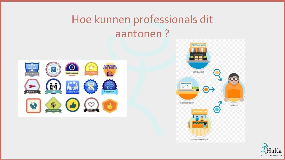 Hoe kunnen professionals dit aantonen ? 