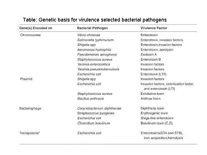 Table: Genetic basis for virulence selected bacterial pathogens 