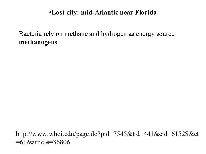  • Lost city: mid-Atlantic near Florida Bacteria rely on methane and hydrogen as
