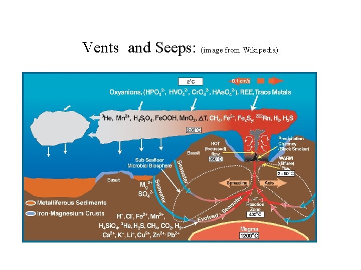 Vents and Seeps: (image from Wikipedia) 