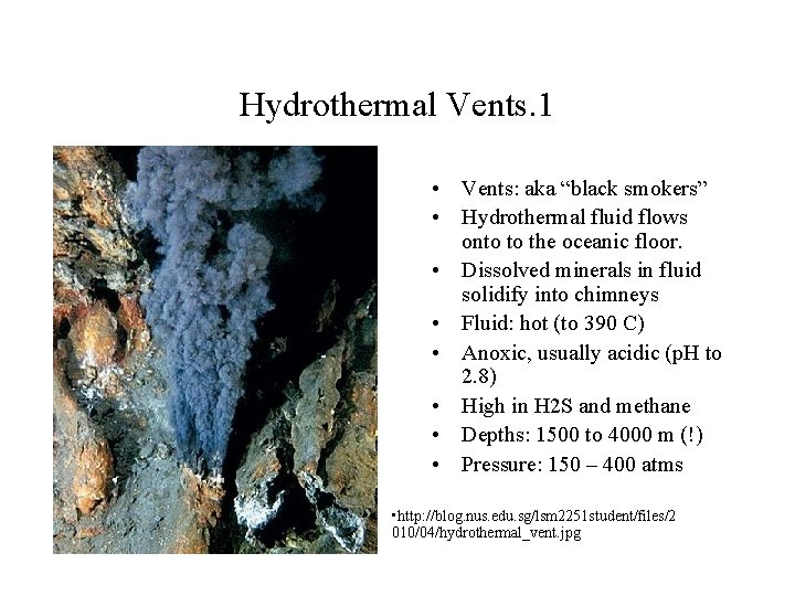 Hydrothermal Vents. 1 • Vents: aka “black smokers” • Hydrothermal fluid flows onto to