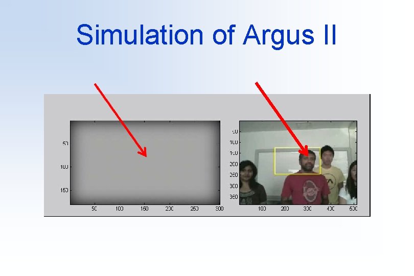 Simulation of Argus II 