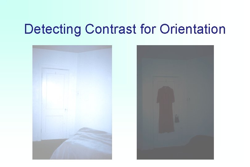 Detecting Contrast for Orientation 