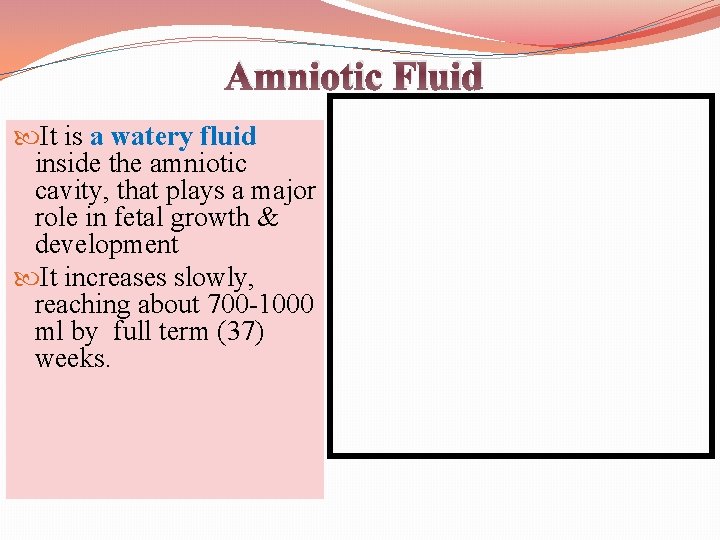 Amniotic Fluid It is a watery fluid inside the amniotic cavity, that plays a