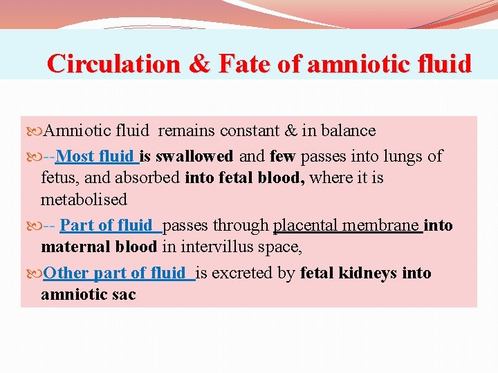 Circulation & Fate of amniotic fluid Amniotic fluid remains constant & in balance --Most