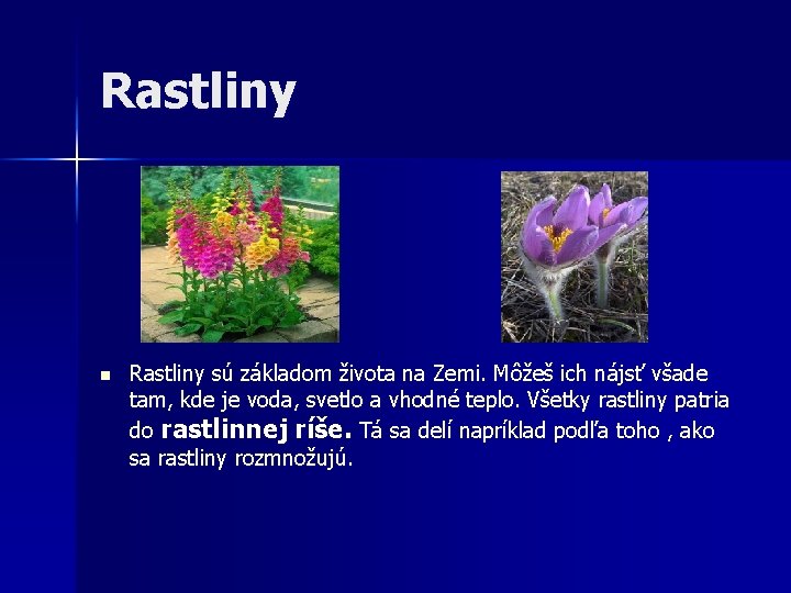 Rastliny n Rastliny sú základom života na Zemi. Môžeš ich nájsť všade tam, kde