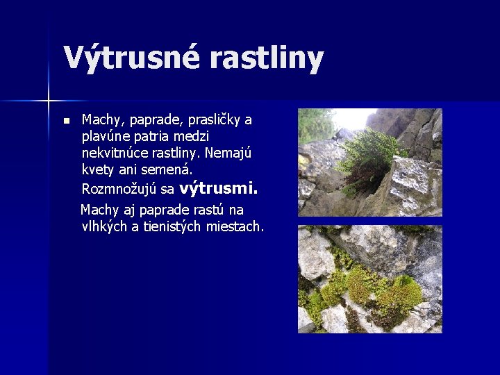 Výtrusné rastliny n Machy, paprade, prasličky a plavúne patria medzi nekvitnúce rastliny. Nemajú kvety