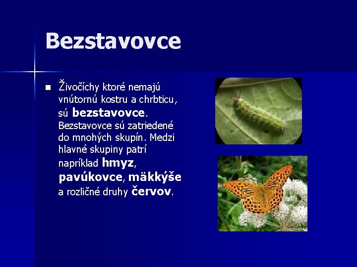 Bezstavovce n Živočíchy ktoré nemajú vnútornú kostru a chrbticu, sú bezstavovce. Bezstavovce sú zatriedené