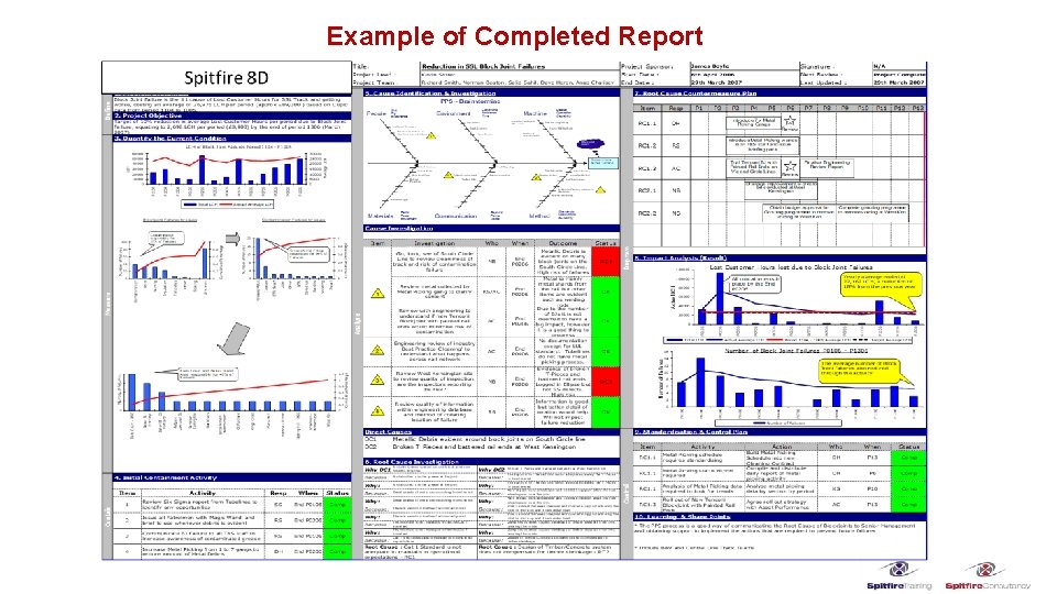 Example of Completed Report 