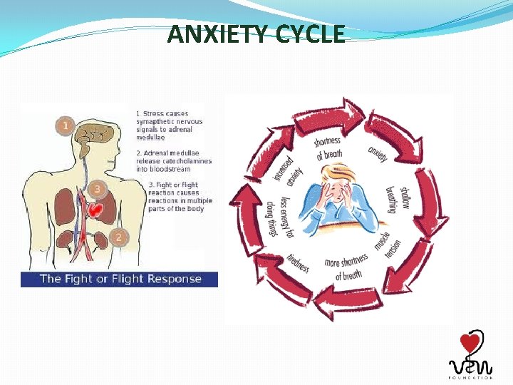 ANXIETY CYCLE 