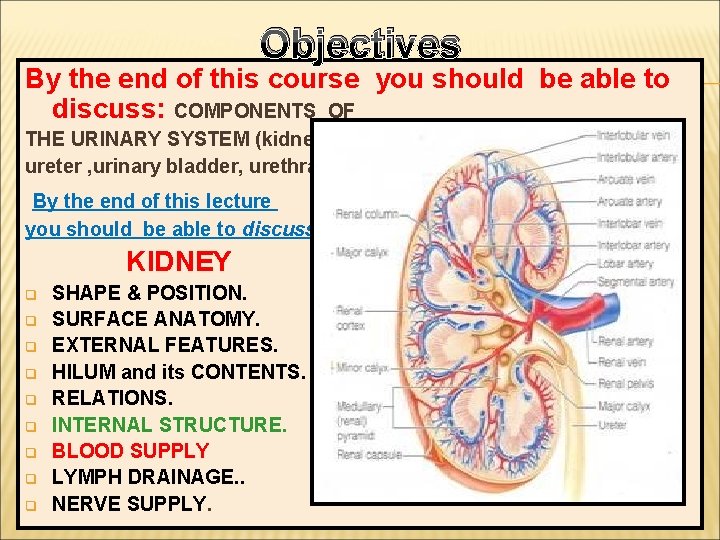 Objectives By the end of this course you should be able to discuss: COMPONENTS