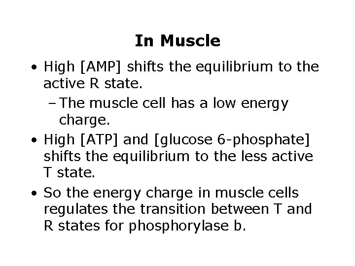 In Muscle • High [AMP] shifts the equilibrium to the active R state. –