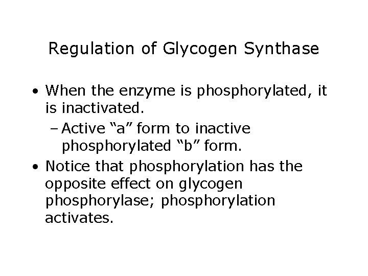 Regulation of Glycogen Synthase • When the enzyme is phosphorylated, it is inactivated. –