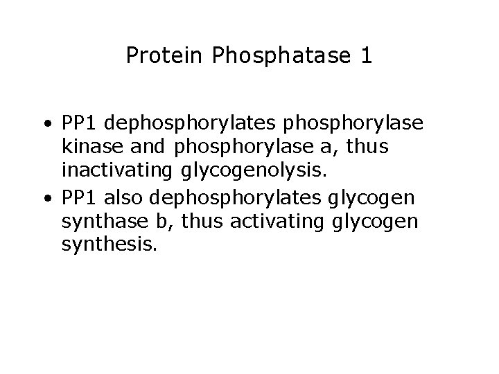Protein Phosphatase 1 • PP 1 dephosphorylates phosphorylase kinase and phosphorylase a, thus inactivating