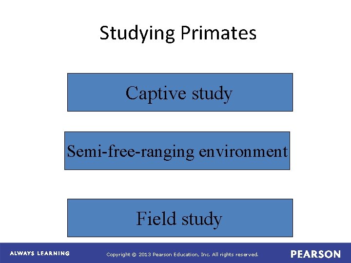 Studying Primates Captive study Semi-free-ranging environment Field study Copyright © 2013 Pearson Education, Inc.