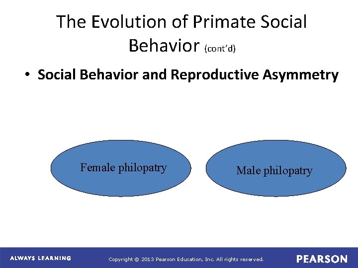 The Evolution of Primate Social Behavior (cont’d) • Social Behavior and Reproductive Asymmetry Female