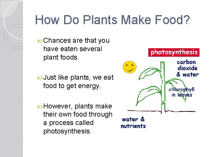 How Do Plants Make Food? Chances are that you have eaten several plant foods.