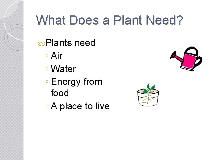 What Does a Plant Need? Plants need ◦ Air ◦ Water ◦ Energy from