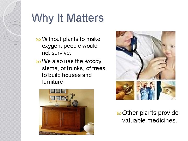 Why It Matters Without plants to make oxygen, people would not survive. We also