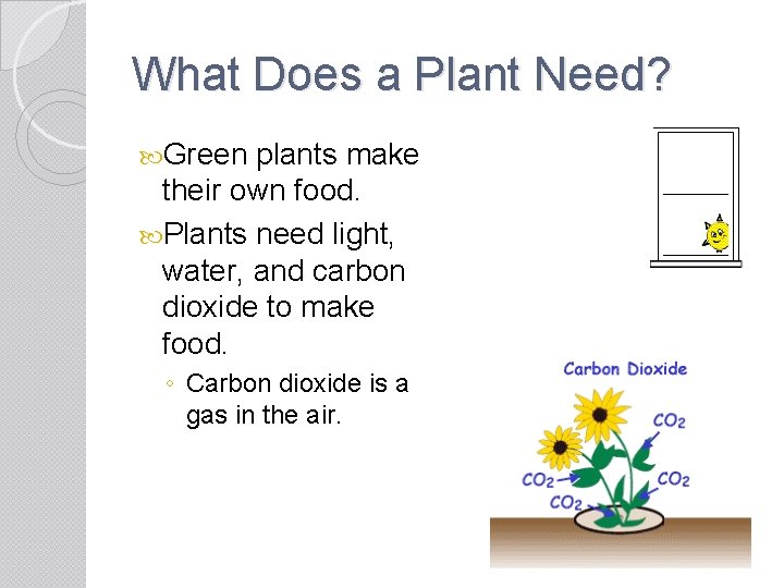 What Does a Plant Need? Green plants make their own food. Plants need light,