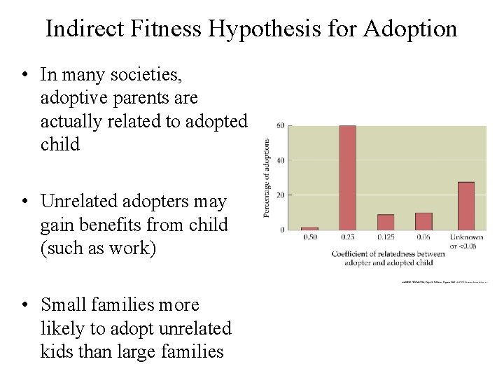 Indirect Fitness Hypothesis for Adoption • In many societies, adoptive parents are actually related