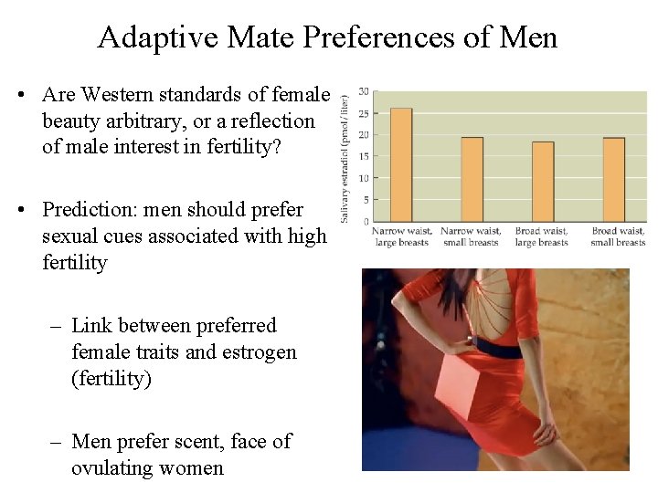 Adaptive Mate Preferences of Men • Are Western standards of female beauty arbitrary, or