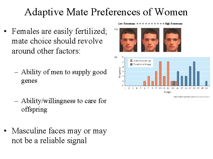 Adaptive Mate Preferences of Women Low Testosterone High Testosterone • Females are easily fertilized;