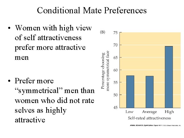 Conditional Mate Preferences • Women with high view of self attractiveness prefer more attractive