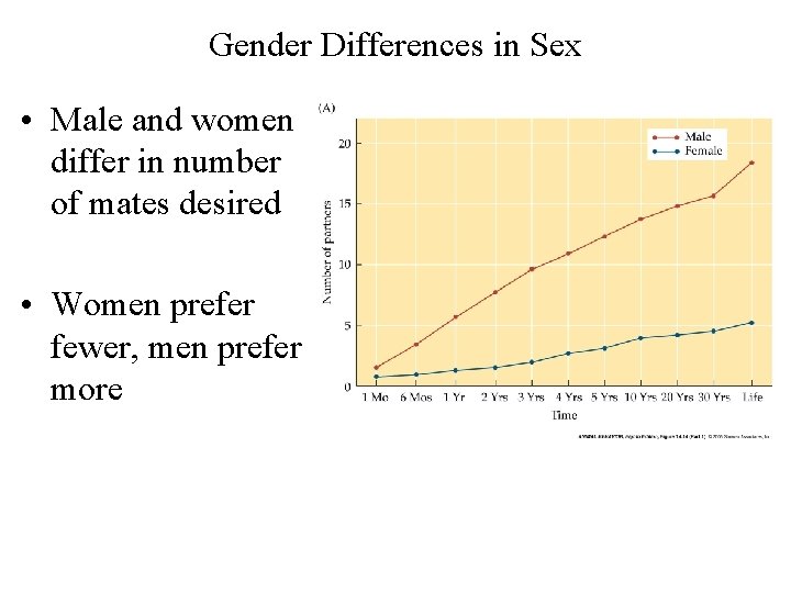 Gender Differences in Sex • Male and women differ in number of mates desired