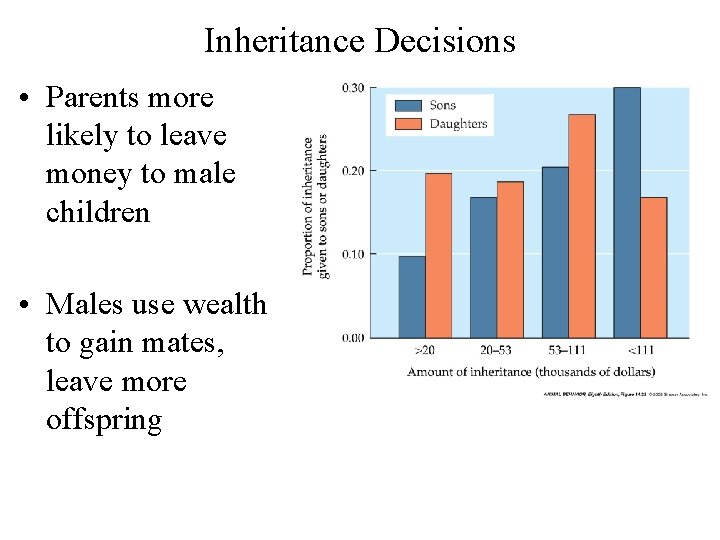 Inheritance Decisions • Parents more likely to leave money to male children • Males