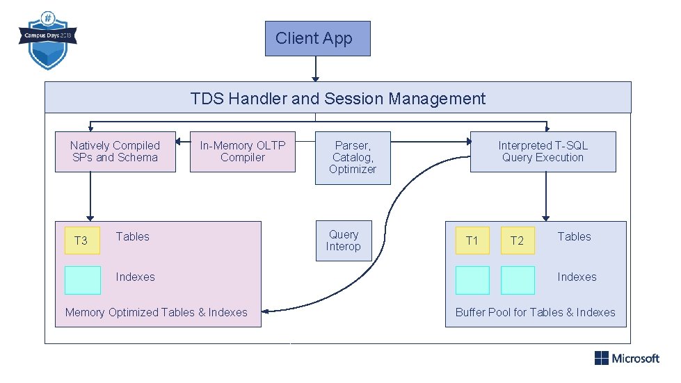 Client App TDS Handler and Session Management Natively Compiled SPs and Schema T 3 Client App TDS Handler and Session Management Natively Compiled SPs and Schema T 3