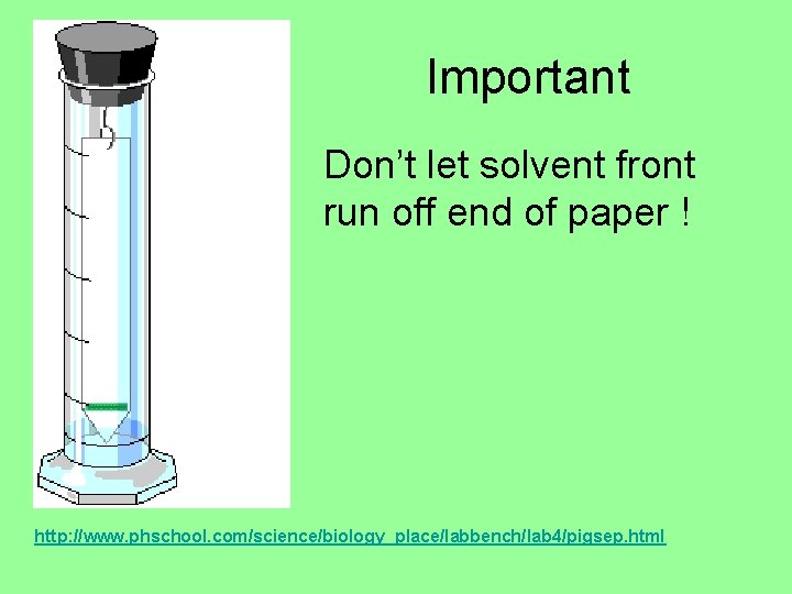 Important Don’t let solvent front run off end of paper ! http: //www. phschool.
