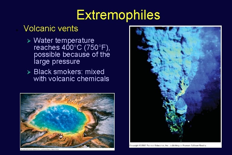 Extremophiles ● Volcanic vents: Ø Ø Water temperature reaches 400°C (750°F), possible because of