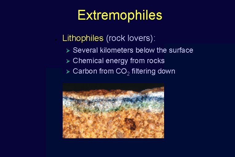 Extremophiles ● Lithophiles (rock lovers): Ø Ø Ø Several kilometers below the surface Chemical