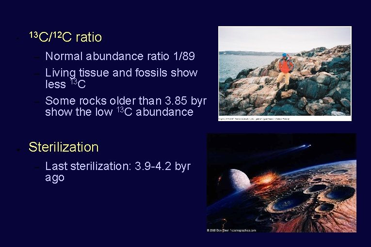 ● 13 C/12 C – – – ● ratio Normal abundance ratio 1/89 Living