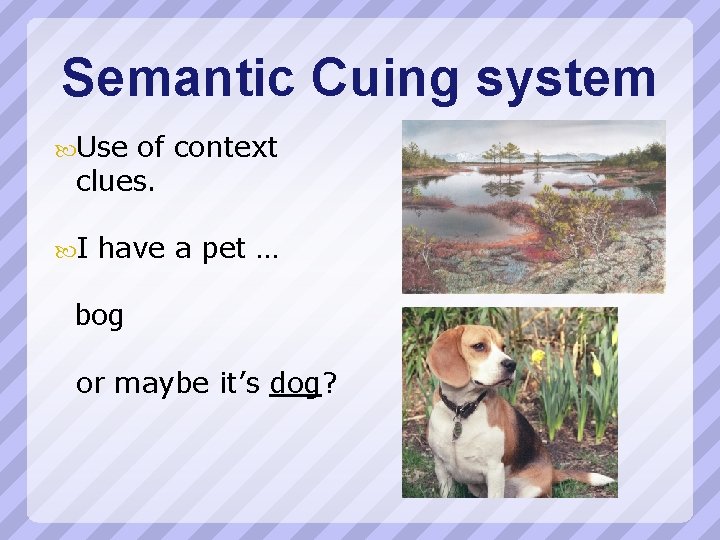 Semantic Cuing system Use of context clues. I have a pet … bog or