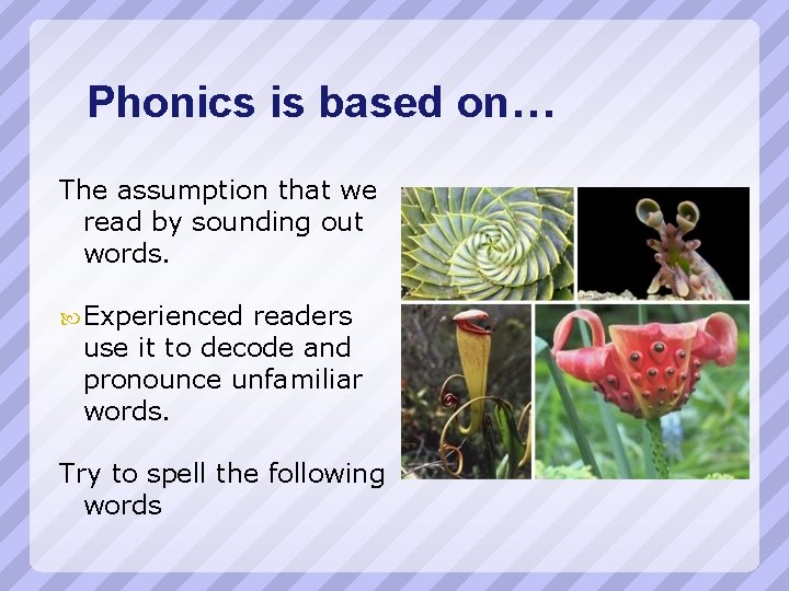 Phonics is based on… The assumption that we read by sounding out words. Experienced