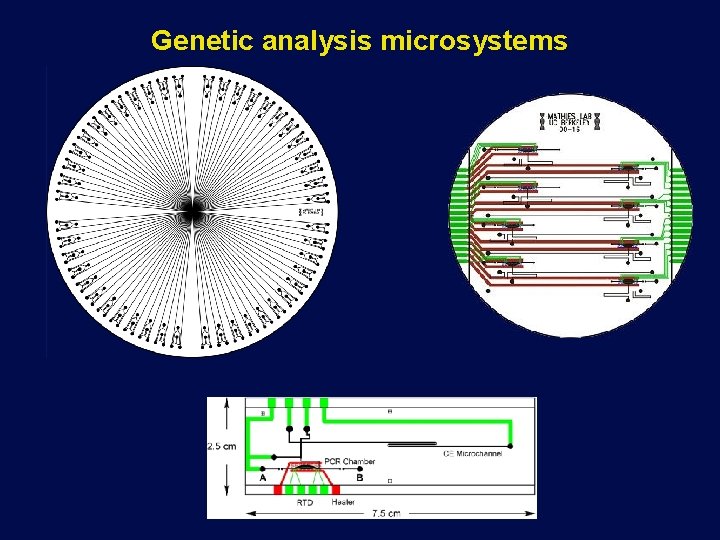 Genetic analysis microsystems 
