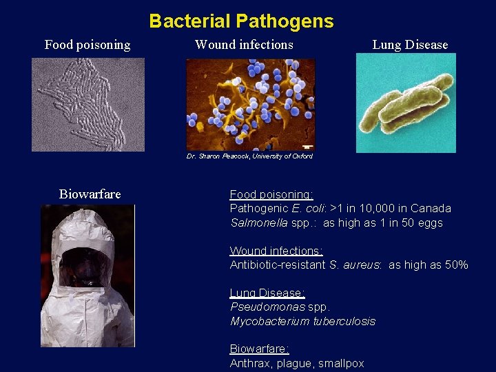 Bacterial Pathogens Food poisoning Wound infections Lung Disease Dr. Sharon Peacock, University of Oxford