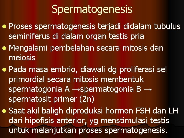 Spermatogenesis l Proses spermatogenesis terjadi didalam tubulus seminiferus di dalam organ testis pria l