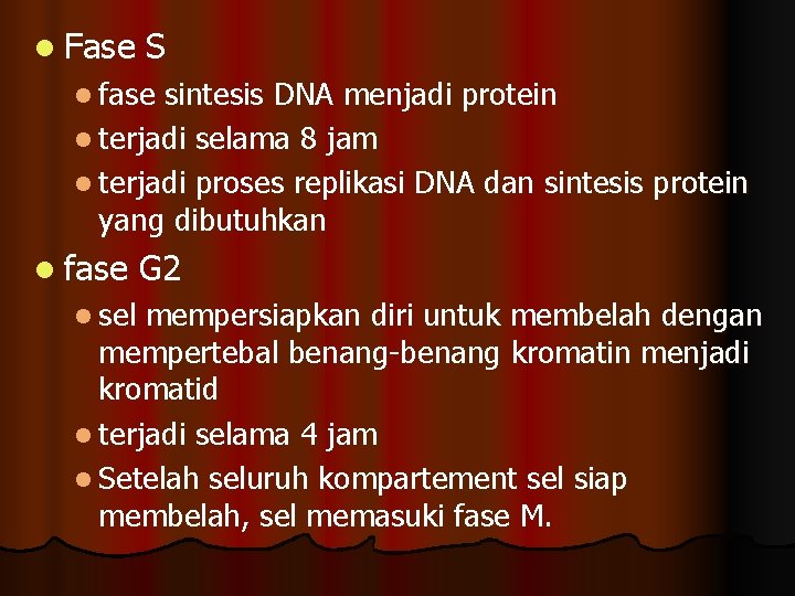 l Fase S l fase sintesis DNA menjadi protein l terjadi selama 8 jam