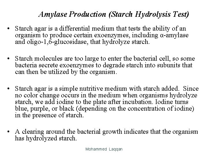 Amylase Production (Starch Hydrolysis Test) • Starch agar is a differential medium that tests