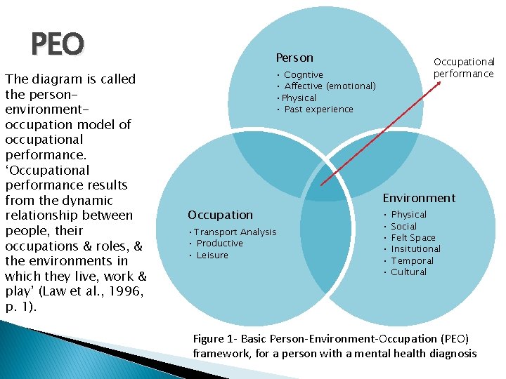 PEO The diagram is called the personenvironmentoccupation model of occupational performance. ‘Occupational performance results