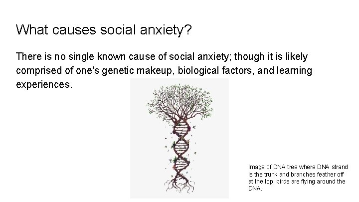 What causes social anxiety? There is no single known cause of social anxiety; though