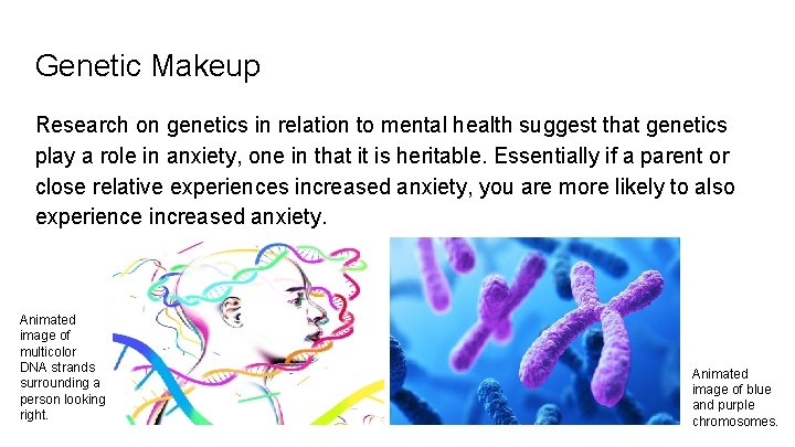 Genetic Makeup Research on genetics in relation to mental health suggest that genetics play