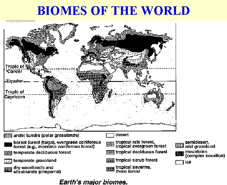 BIOMES OF THE WORLD 