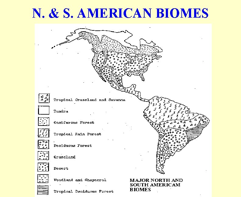 N. & S. AMERICAN BIOMES 