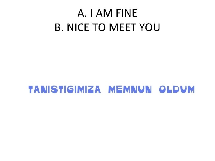 A. I AM FINE B. NICE TO MEET YOU 