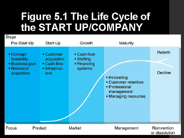 Figure 5. 1 The Life Cycle of the START UP/COMPANY 